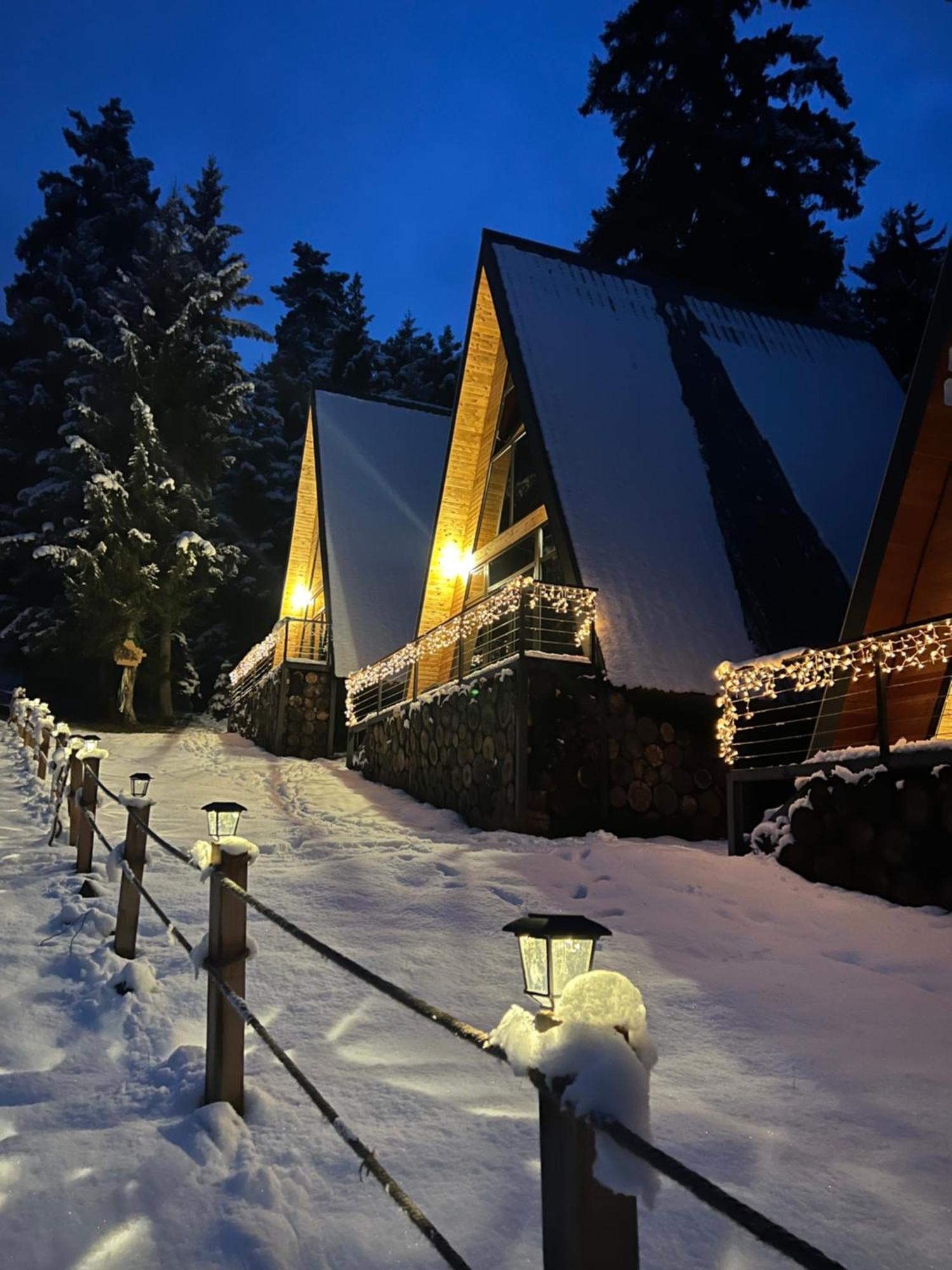 Collodi Cottages Tba Exteriér fotografie